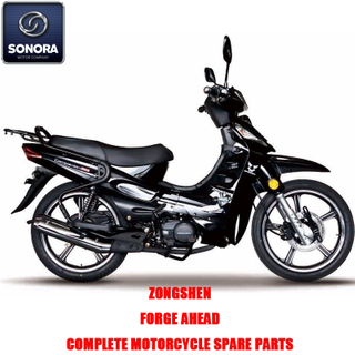 Zongshen FORGE AHEAD Kit completo de carrocería de motor Piezas de repuesto Piezas de repuesto originales
